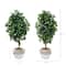 4.5ft. Artificial Ficus Tree with Double Trunk in Handmade Cotton & Jute Basket Set